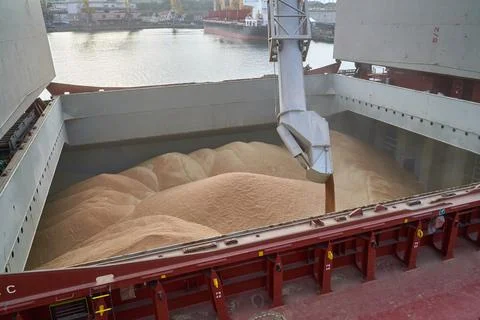 Loading corn onto a bulk carrier ship in the port at the grain terminal. Port Stock Photos