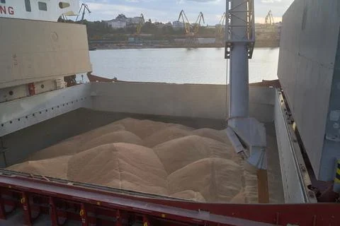 Loading corn onto a bulk carrier ship in the port at the grain terminal. Port Stock Photos