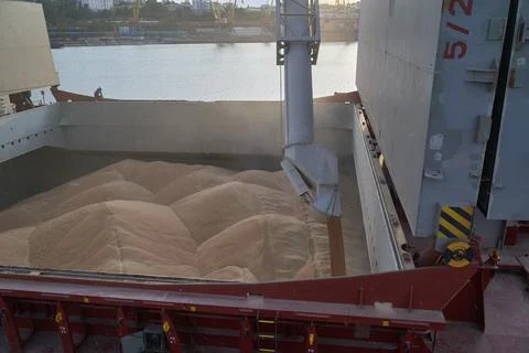 Loading corn onto a bulk carrier ship in the port at the grain terminal. Port Stock Photos