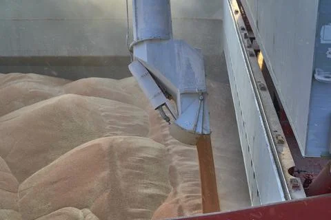Loading corn onto a bulk carrier ship in the port at the grain terminal. Port Stock Photos