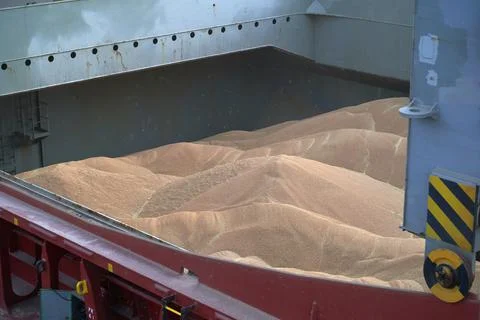 Loading corn onto a bulk carrier ship in the port at the grain terminal. Port Stock-Fotos