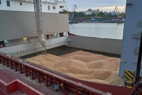 Loading corn onto a bulk carrier ship in the port at the grain terminal. Port Stock Photos