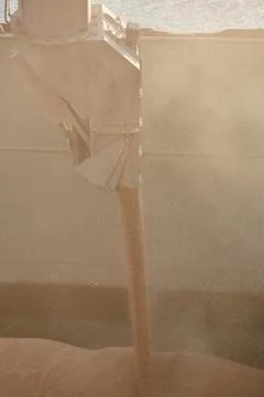 Loading corn onto a bulk carrier ship in the port at the grain terminal. Port Stock Photos