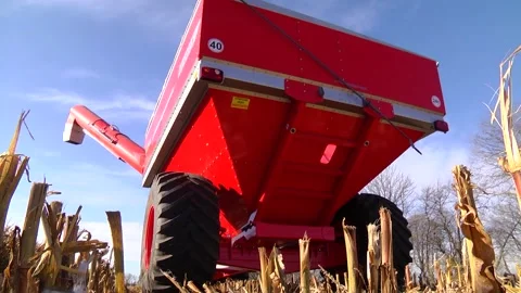 Loading corn grain at the elevator using the unloader Stock-Footage 145930888