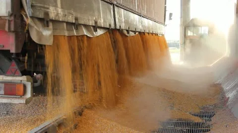 Loading Corn into the Silo Stock Footage 11089141