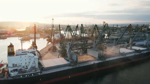 Loading of dry cargo ship by grain cranes in port on sunset  import Stock Footage 142368668
