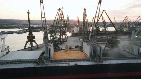 Loading of dry cargo ship by grain cranes in port on sunset  import Stock Footage 142377589