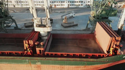 Loading of dry cargo ship by grain cranes in port on sunset  import Stock Footage 142524868