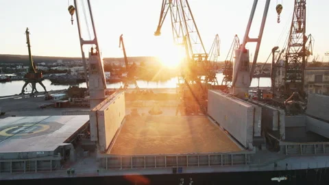 Loading of dry cargo ship by grain cranes in port on sunset  import Stock Footage 142525020