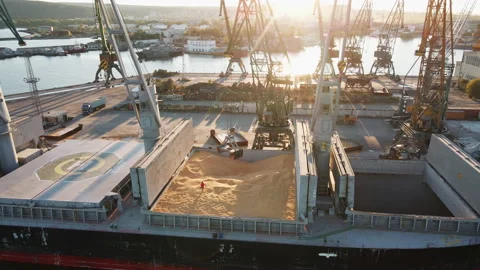 Loading of dry cargo ship by grain cranes in port on sunset  import Stock Footage 142525139