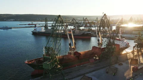 Loading of dry cargo ship by grain cranes in port on sunset  import Stock Footage 142525353