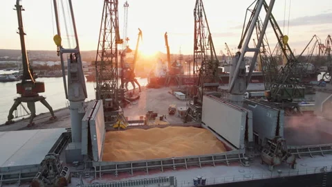 Loading of dry cargo ship by wheat  cranes in city port Varna on sunset  import Stock Footage 142370397