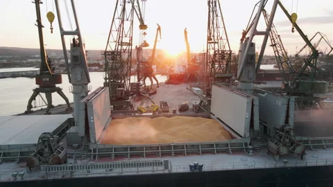 Loading of dry cargo ship by wheat  cranes in city port Varna on sunset Stock Footage 142370483