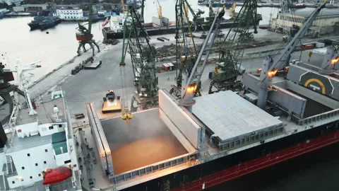 Loading of a dry cargo ship by wheat cranes in city port Varna on sunset Stock Footage 142373998
