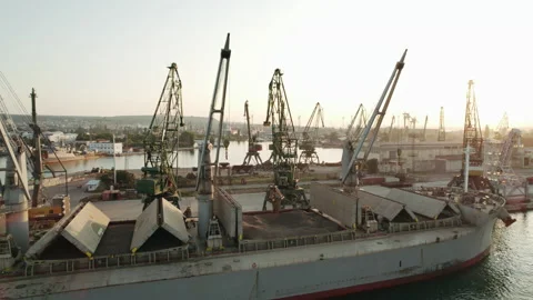 Loading of dry cargo ship of wheat by cranes in port for import Stock Footage 157819570