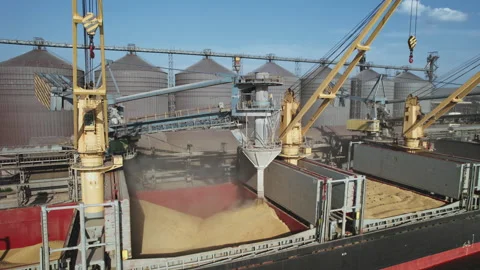 Loading dry cargo ship by wheat cranes in city port Odessa on sunset  import Stock Footage 160398102