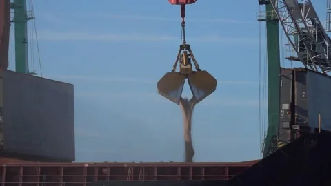 Loading dry cargo ship of wheat by cranes in port Stock Footage 255009239