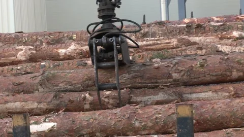 Loading equipment for logging. Stock Footage 290065449