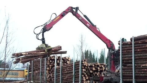 Loading of felled trees Stock Footage 85430091
