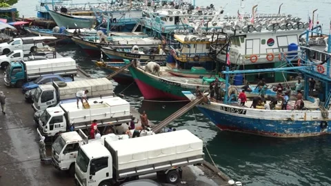 Loading fish Stock Footage 255125096