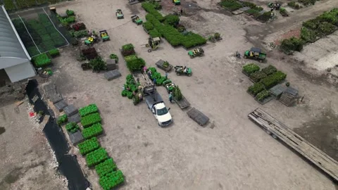 Loading flowers and plants to transportation. Farmers working Stock Footage 241951604