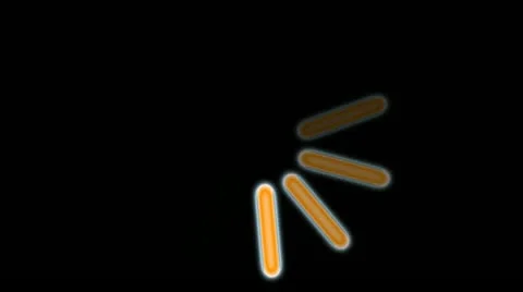 Loading Stock Footage 12009820