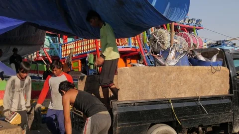 Loading frozen fish in pickup in harbour in Jakarta Java Indonesia Video stock 82077304