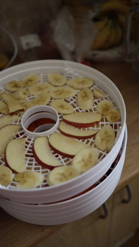 Loading fruit into a food dehydrator Stock Footage 340134853