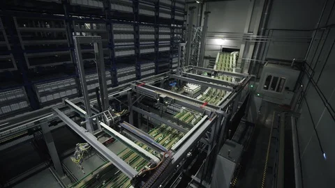 Loading of goods on the conveyor Stock Footage 117593640