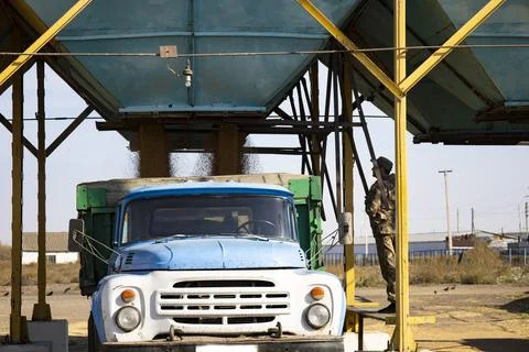 Loading of grain from the bins of the cleaning machine into the truck. Stock Photos