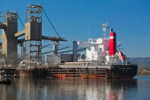 Loading grain onto bulk carrier 스톡 사진