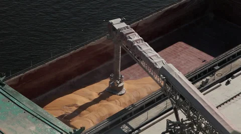 Loading grain on the bulk ship cargo container at a marine grain terminal, port. Stock Footage 38286549