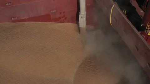 Loading grain onto a cargo ship for sea transport using a conveyor loader Stock Footage