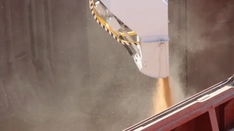 Loading grain onto a cargo ship for transportation by sea by a conveyor belt mac Stock Footage 120702590