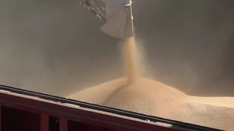 Loading grain onto a cargo ship for transportation by sea by a conveyor belt mac Stock Footage 136240965