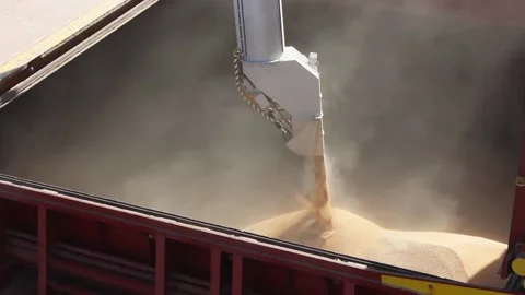 Loading grain onto a cargo ship for transportation by sea by a conveyor belt mac Stock Footage 136240966