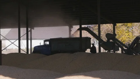 Loading grain corn truck at granary Stock Footage 97493210