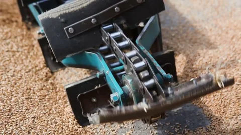 Loading of grain mechanically Stock Footage