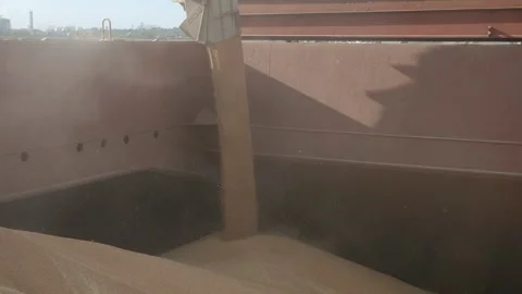 Loading of grain products in to the cargo compartment of bulk carrier Stock Footage 140173498