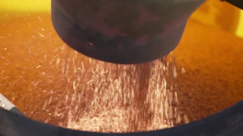 Loading grain for sowing Closeup Stock Footage 240544457