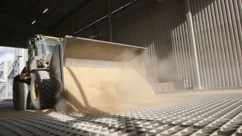 Loading Grain With Tractor Stock Footage 81781139