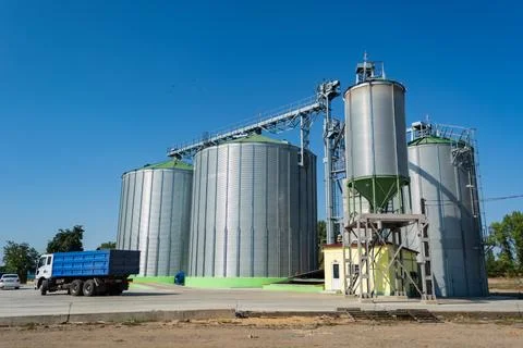 Loading grain by trucks onto the elevator into metal containers Stock Photos