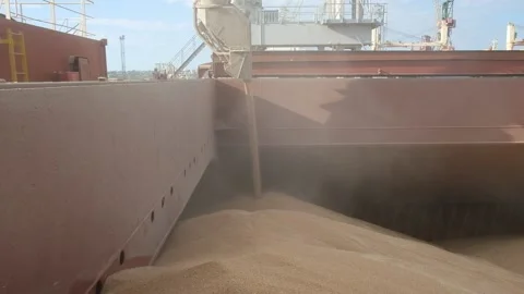 Loading of grains into cargo hold using loading pipe on board of bulk carrier Stock Footage 140173482
