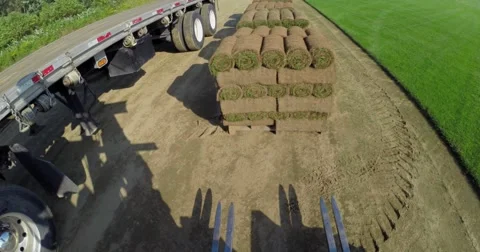 Loading Grass Bundle - GoPro3+ Stock-Footage 41928571