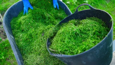 Loading grass for mulching the garden into a bucket, slow motion Stock Footage 311001901