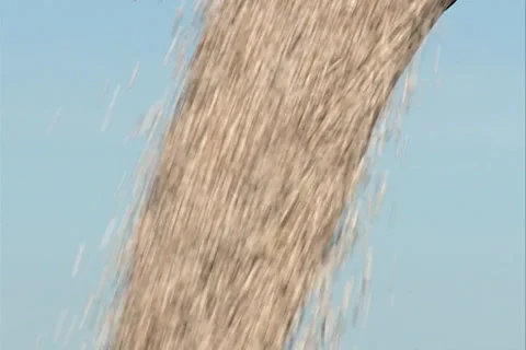 Loading Haricot grain SD 10 스톡 동영상 37472302