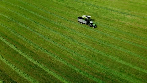 Loading hay with a combine into a tractor trailer Stock Footage 218345831