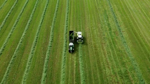 Loading hay with a combine into a tractor trailer Stock Footage 218345871