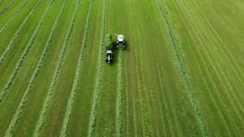 Loading hay with a combine into a tractor trailer Stock Footage 218345888