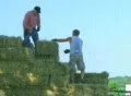Loading Hay SD Footage